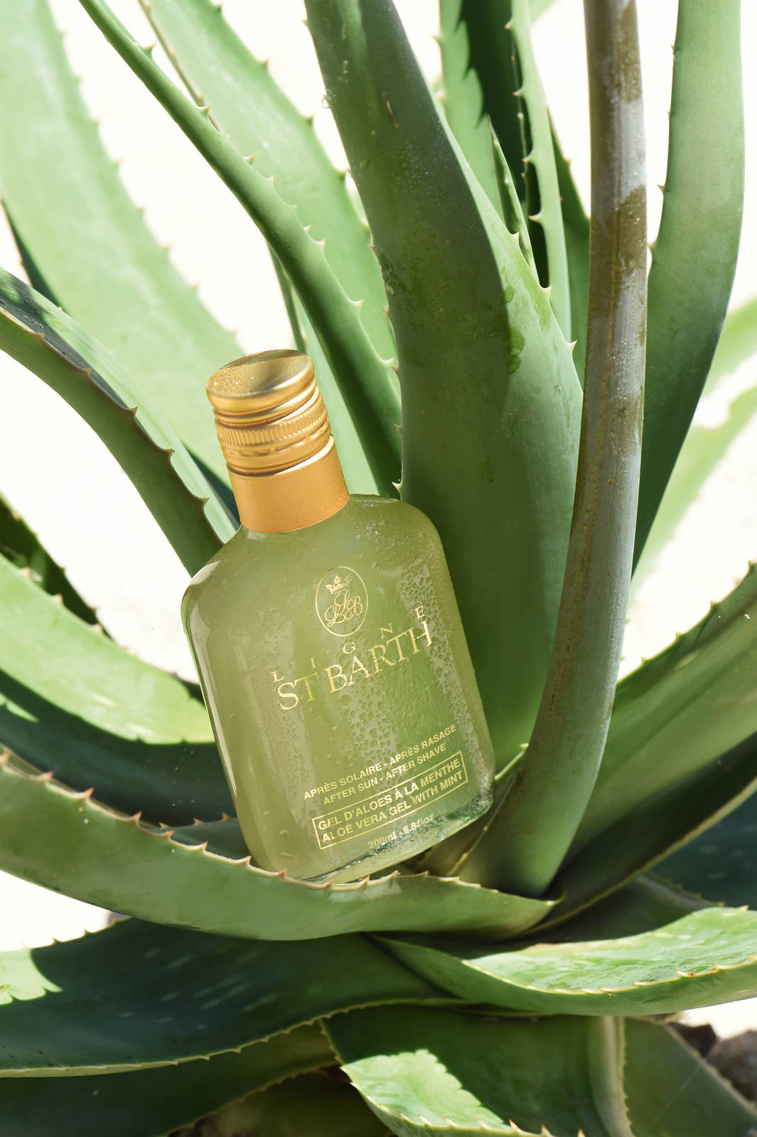 Ligne St. Barth - Cabana